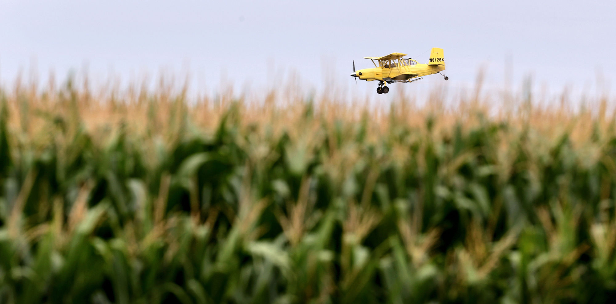 081913_cropduster001_bjs.JPG